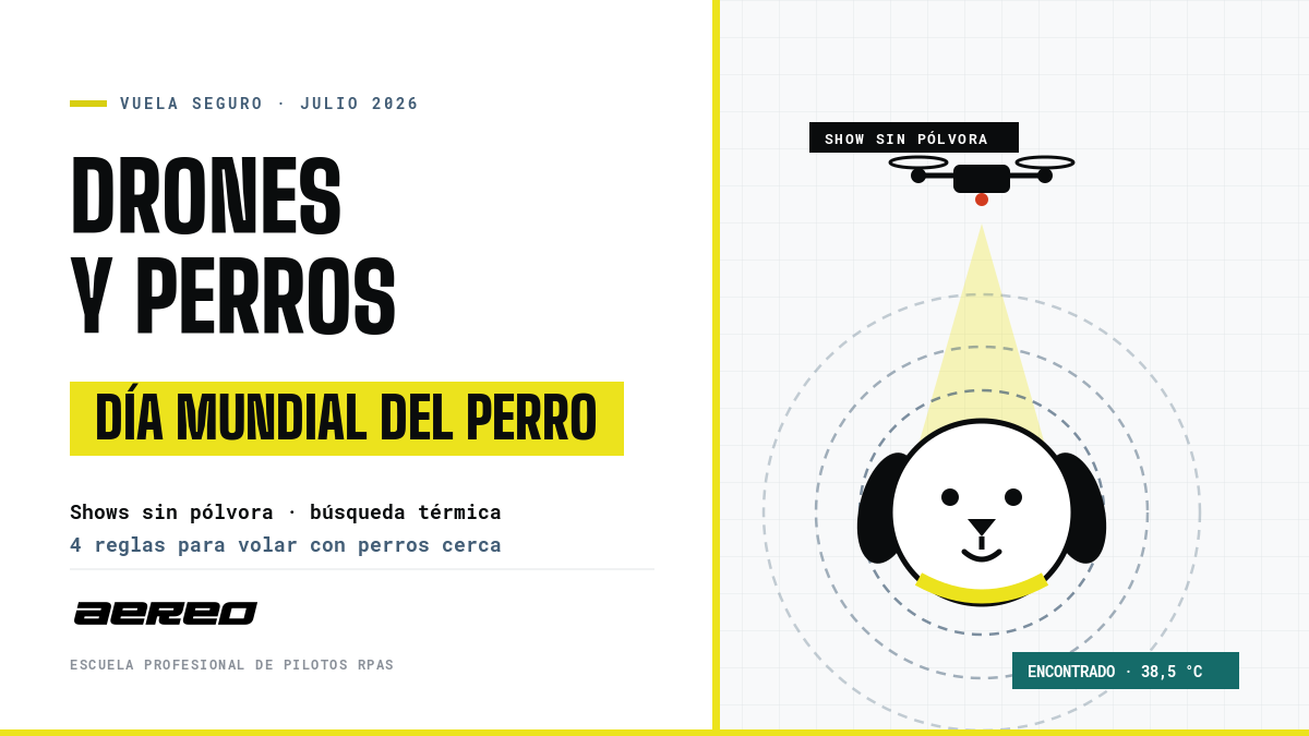 Drones y perros: shows de luces sin pólvora, búsqueda de mascotas con cámara térmica y reglas para volar con perros cerca